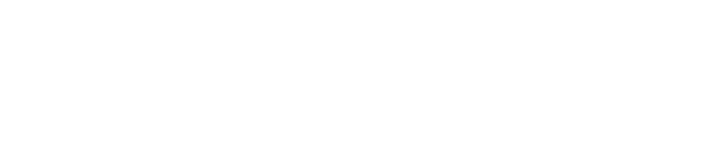 VMV Negócios Inteligentes
